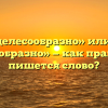«Нецелесообразно» или «не целесообразно» — как правильно пишется слово?