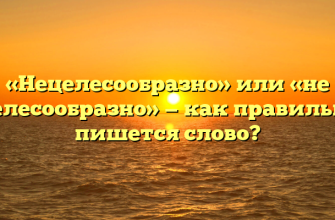 «Нецелесообразно» или «не целесообразно» — как правильно пишется слово?
