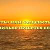 «Оценить» или «отценить» — как правильно пишется слово?