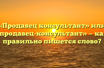 «Продавец консультант» или «продавец-консультант» — как правильно пишется слово?