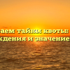Раскрываем тайны квоты: история происхождения и значение термина