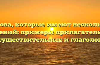 Слова, которые имеют несколько значений: примеры прилагательных, существительных и глаголов