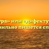 «Дефектура» или «дифектура» — как правильно пишется слово?