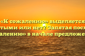 «К сожалению» выделяется запятыми или нет? Запятая после «к сожалению» в начале предложения.