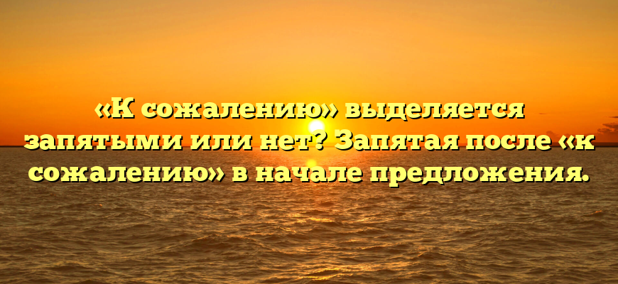 «К сожалению» выделяется запятыми или нет? Запятая после «к сожалению» в начале предложения.