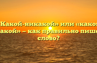 «Какой-никакой» или «какой никакой» — как правильно пишется слово?