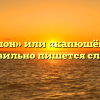 «Капюшон» или «капюшён» — как правильно пишется слово?