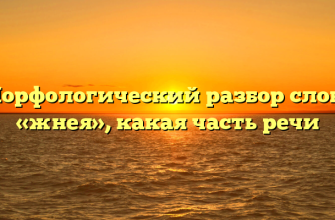 Морфологический разбор слова «жнея», какая часть речи