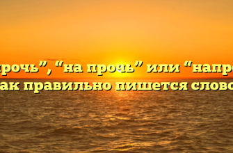 “Напрочь”, “на прочь” или “напроч” — как правильно пишется слово?
