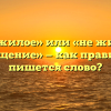 «Нежилое» или «не жилое помещение» — как правильно пишется слово?