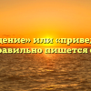 «Привидение» или «приведение» — как правильно пишется слово?