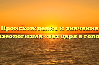 Происхождение и значение фразеологизма «без царя в голове»