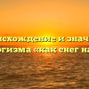 Происхождение и значение фразеологизма «как снег на голову»