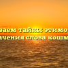 Раскрываем тайны этимологии и значения слова кошмар