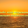 «Сиреневый» или «сереневый» — как правильно пишется слово?