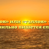 «Талон» или «таллон» — как правильно пишется слово?