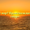 Что такое бор? Происхождение слова «бор»