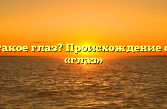 Что такое глаз? Происхождение слова «глаз»