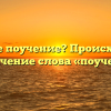 Что такое поучение? Происхождение и значение слова «поучение»