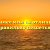 «В отличие» или «в отличии»: как правильно пишется?