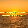 «Вброд» или «в брод» — как правильно пишется слово?