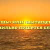 «Вытащишь» или «вытащешь» — как правильно пишется слово?