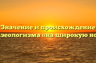 Значение и происхождение фразеологизма «на широкую ногу»