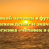 Кто такой человек в футляре? Происхождение и значение фразеологизма «человек в футляре»