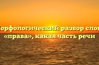 Морфологический разбор слова «права», какая часть речи