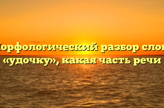 Морфологический разбор слова «удочку», какая часть речи
