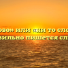 «Не то слово» или «ни то слово» — как правильно пишется слово?