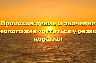 Происхождение и значение фразеологизма «остаться у разбитого корыта»
