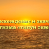 Происхождение и значение фразеологизма «типун тебе на язык»