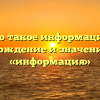 Что такое информация? Происхождение и значение слова «информация»