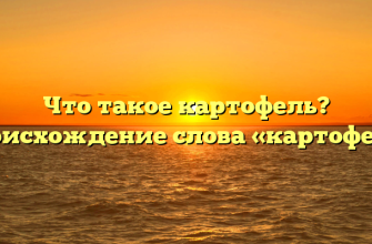 Что такое картофель? Происхождение слова «картофель»