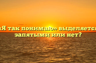 «Я так понимаю» выделяется запятыми или нет?