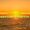 «Закалённый» или «заколённый» — как правильно пишется слово?