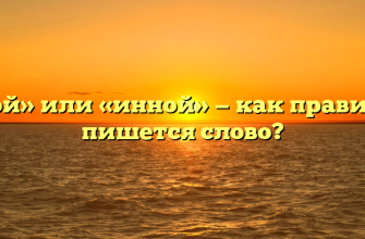 «Иной» или «инной» — как правильно пишется слово?