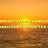 «Камышовый» или «камышёвый» — как правильно пишется слово?
