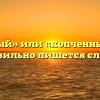 «Копченый» или «копченный» — как правильно пишется слово?