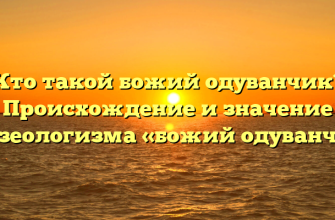 Кто такой божий одуванчик? Происхождение и значение фразеологизма «божий одуванчик»