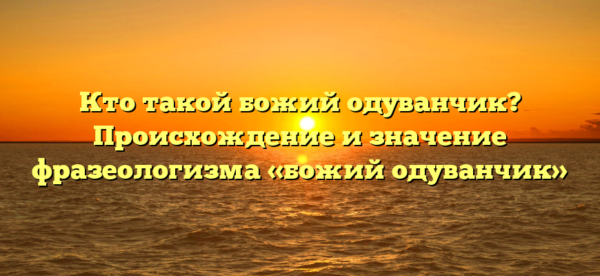 Кто такой божий одуванчик? Происхождение и значение фразеологизма «божий одуванчик»