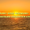 «Лимон» или «лемон» — как правильно пишется слово?