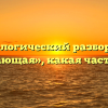 Морфологический разбор слова «изучающая», какая часть речи