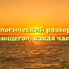 Морфологический разбор слова «работающего», какая часть речи