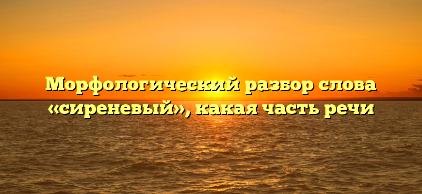 Морфологический разбор слова «сиреневый», какая часть речи