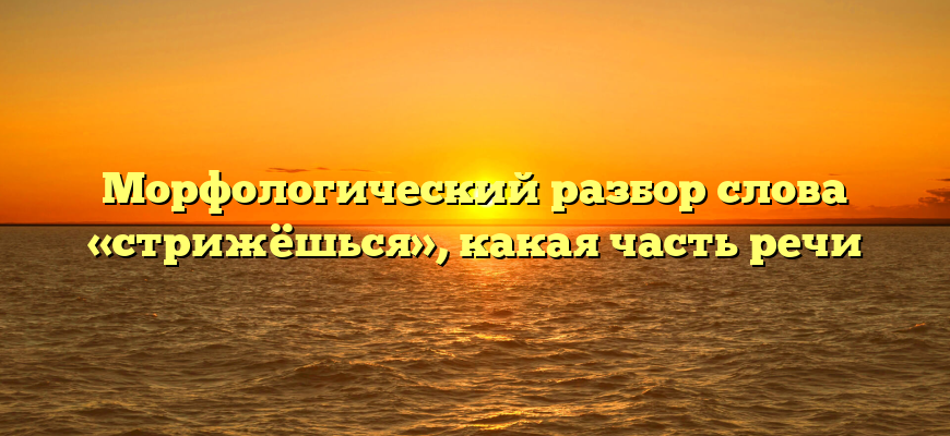 Морфологический разбор слова «стрижёшься», какая часть речи
