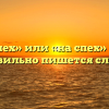 «Наспех» или «на спех» — как правильно пишется слово?