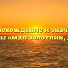 Происхождение и значение пословицы «мал золотник, да дорог»