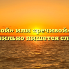 «Речевой» или «речивой» — как правильно пишется слово?